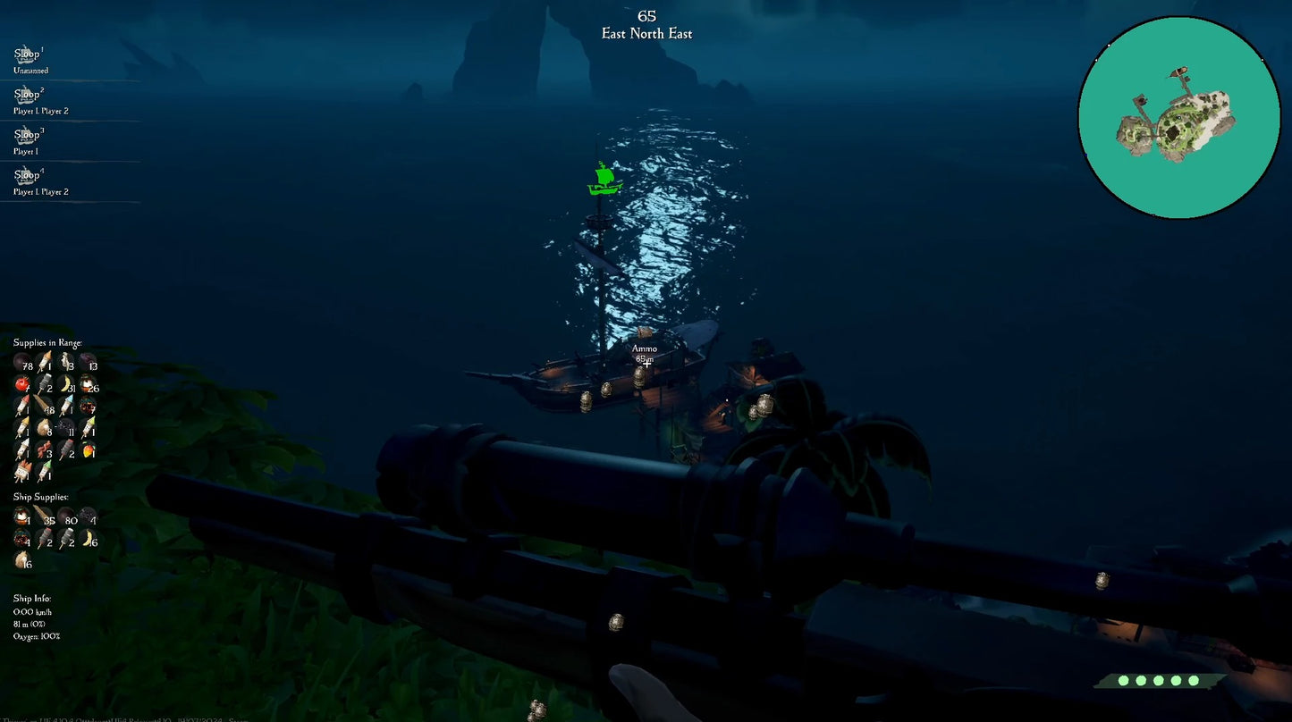 Sea of Thieves (Nyx)