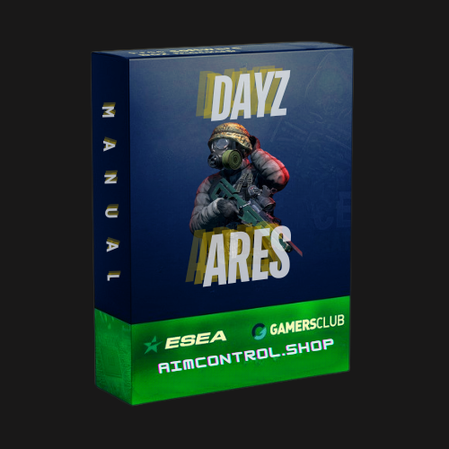 DayZ (Ares)